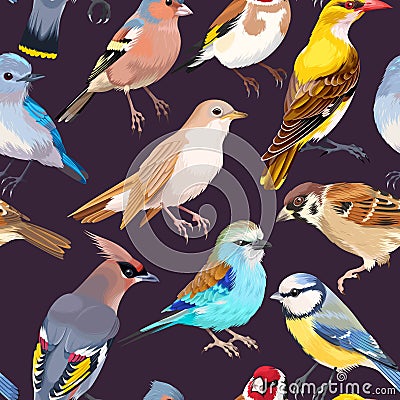 Seamless patterns with birds Vector Illustration