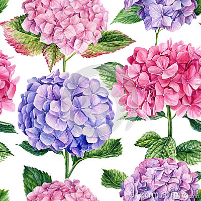 Seamless patterns of branches of hydrangea flower and leaves on an isolated background. Watercolor flowers Cartoon Illustration