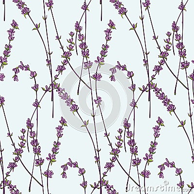 Seamless patterns of lavender Vector Illustration