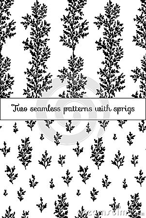 Seamless patterns wich sprigs Vector Illustration