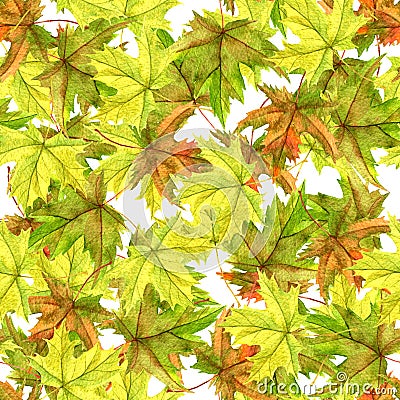Seamless patttern with leaves Stock Photo