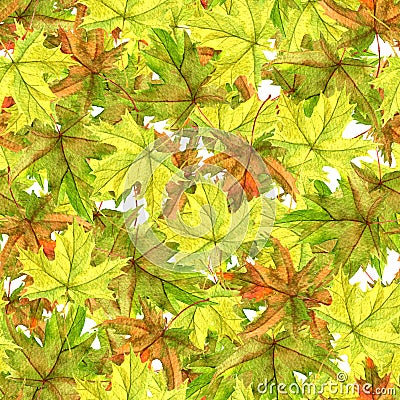 Seamless patttern with leaves Stock Photo