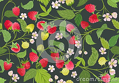 Seamless raspberry pattern with summer berries, fruits, leaves, flowers background Vector Illustration