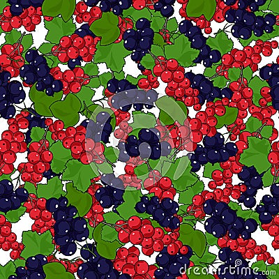 Seamless Redcurrant and Blackcurrant Pattern Vector Illustration