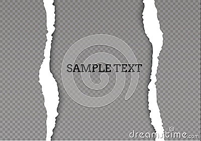 Seamless ripped paper and transparent background with space for text, art and illustration. Cartoon Illustration