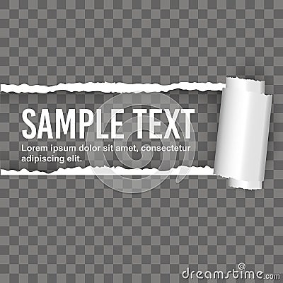 Seamless ripped paper and transparent background Vector Illustration