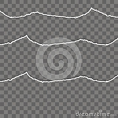 Seamless ripped paper with lines. Vector Illustration