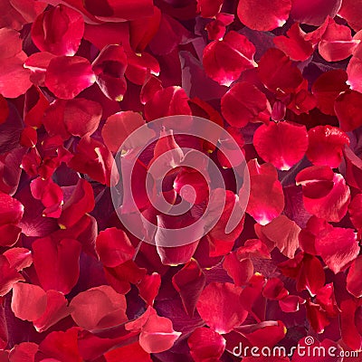 Seamless Rose Petals in Depth Stock Photo