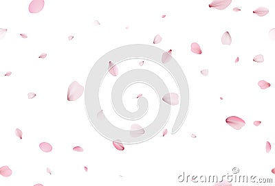 Seamless sakura petals. Falling realistic cherry petals Vector Illustration