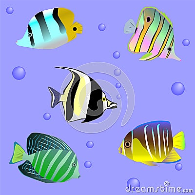 Seamless sample with sea fish Vector Illustration