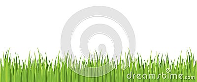 Seamless spring grass vector Vector Illustration