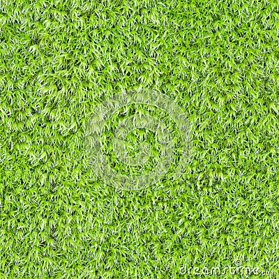 Seamless square texture - green moss Stock Photo