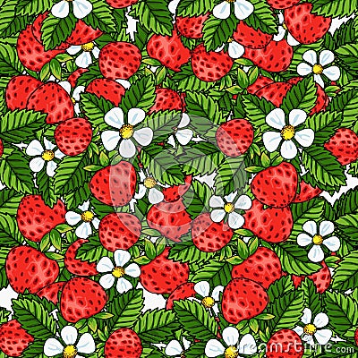 Seamless strawberry pattern on white background Vector Illustration