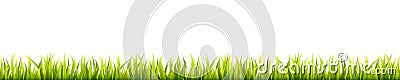 Seamless summer grass panorama. Green springtime herbal lawn. Field or meadow horizontal decoration lines Vector Illustration