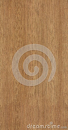 Seamless teak texture Stock Photo