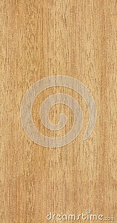 Seamless teak texture Stock Photo