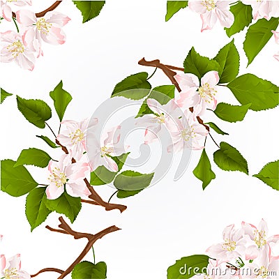 Seamless texture Apple tree branch with flowers nature background vintage hand draw vector Vector Illustration