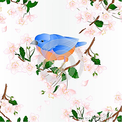 Seamless texture bird Bluebird small thrush songbirdons on an branch wild Cherry wild Cherry blue spring background vintage Vector Illustration