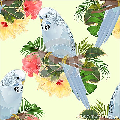 Seamless texture bird Budgerigar, home pet ,blue pet parakeet on a branch bouquet with tropical flowers hibiscus, palm,philodendr Vector Illustration