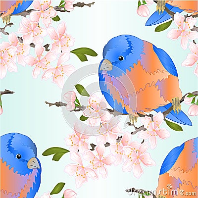 Seamless texture bird small thrush Bluebird watercolor on a sakura cherry branch pink flower with leaves sprig background Vector Illustration