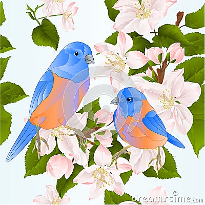 Seamless texture birds Bluebirds thrush small songbirdons on an apple tree branch with flowers spring background vintage vector i Vector Illustration