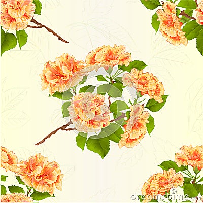 Seamless texture branch hibiscus Yellow tropical flowers Vector Illustration