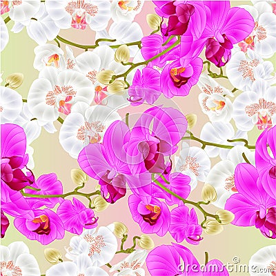 Seamless texture Branch orchids white and purple flowers Phalaenopsis tropical plant stems and buds vintage vector botanical il Vector Illustration