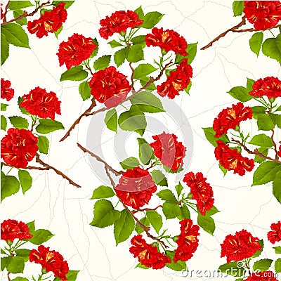 Seamless texture branch red hibiscus tropical flowers on a white background vintage vector Vector Illustration