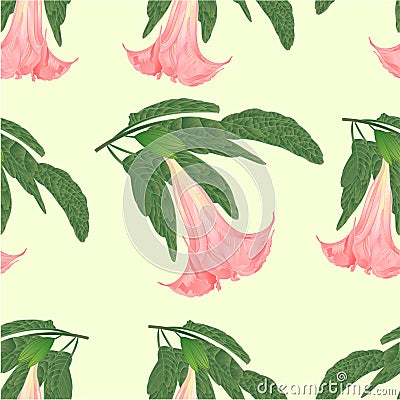 Seamless texture Brugmansia suaveolens medicinal flower pink Angel`s Trumpet vintage vector illustration editable Vector Illustration