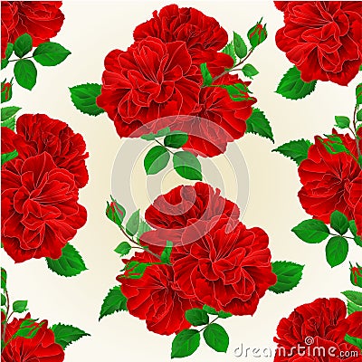 Seamless texture bunch Three red roses with buds vintage editable festive background vector Vector Illustration