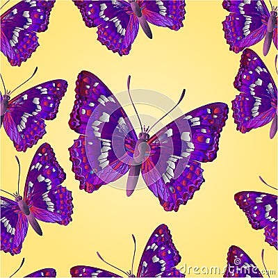 Seamless texture butterfly Apatura iris vector Vector Illustration