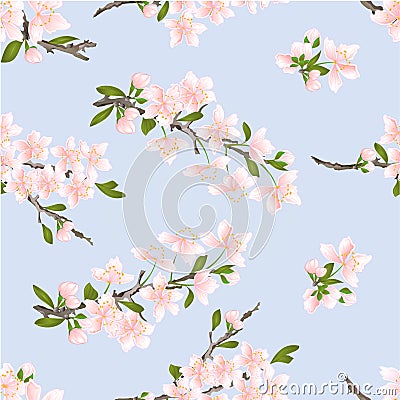 Seamless texture cherry blossoms vector Vector Illustration