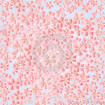 Seamless texture cherry blossoms vector Vector Illustration