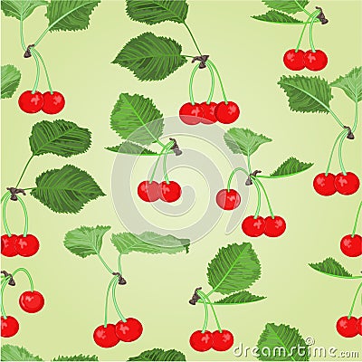 Seamless texture cherry fruits and leaves vector Vector Illustration