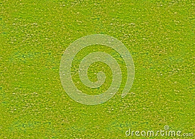 Seamless texture, endless canvas - Trampled old lawn with barely sprinkled young spring grass, greenery, lawn, spring, coolness Stock Photo