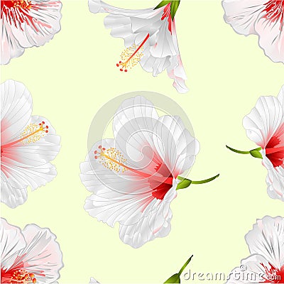 Seamless texture flowers tropical plant white hibiscus on a white background vintage vector illustration editable hand draw Vector Illustration