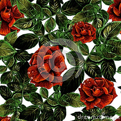 Seamless texture with image of rose with leaves Vector Illustration