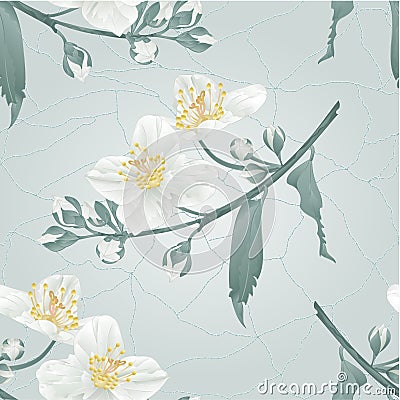 Seamless texture Jasmine flower and buds cracks vintage vector Vector Illustration