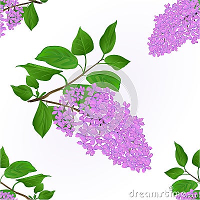 Seamless texture Lilac twig with flowers and leaves vintage natural background vector Vector Illustration