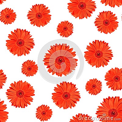 Seamless texture made of red gerber flowers on white background. Minimal floral natural pattern. Stock Photo