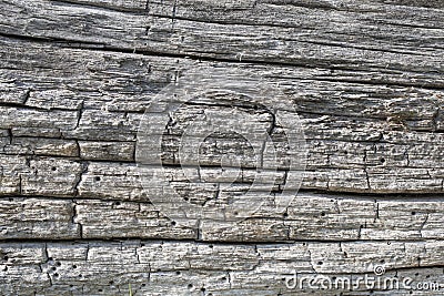 Seamless texture of old wood with cracks. Stock Photo