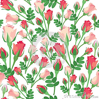 Seamless texture with rose Vector Illustration