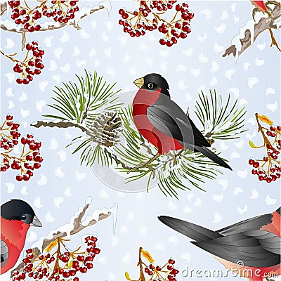 Seamless texture small birds bullfinch songbirdon on a pine branch on snowy and rowan berry winter background vintage vector Vector Illustration