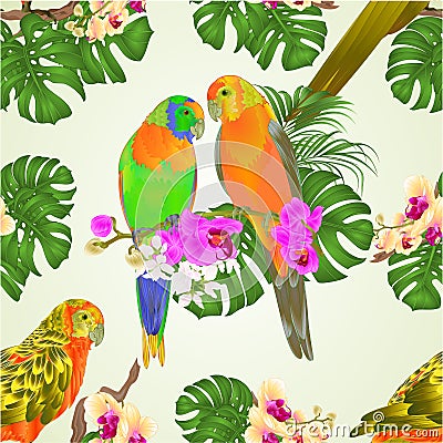 Seamless texture Sun Conure Parrots tropical exotic birds with beautiful orchids and philodendron vector illustration editable Vector Illustration