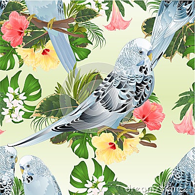 Seamless texture three birds Budgerigars, home pets ,blue pets parakeets on a branch bouquet with tropical flowers hibiscus, palm Vector Illustration