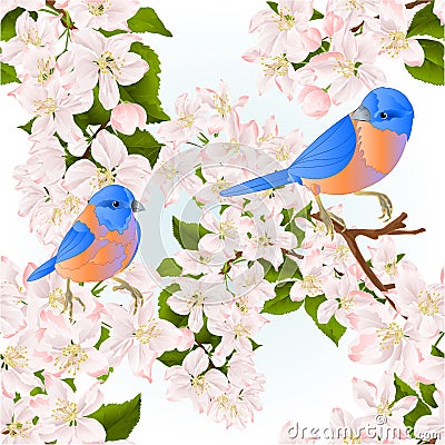 Seamless texture thrush small birds Bluebirds on a apple tree with flowers vintage vector illustration editable Vector Illustration