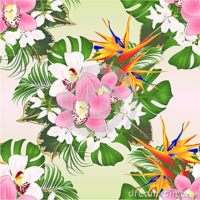 Seamless texture tropical flowers floral arrangement with beautiful Strelitzia and white and pink orchids Cymbidium palm, Vector Illustration