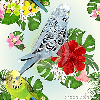 Seamless texture tropical parakeets blue and green Budgerigars home pet , or budgie or shell parakeet and Orchids cymbidium Vector Illustration