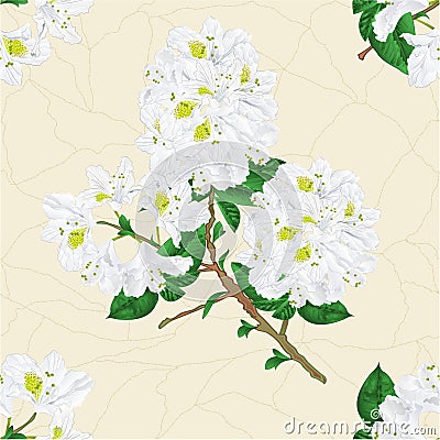 Seamless texture twig white rhododendron mountain shrub cracks in the porcelain vintage hand draw vector Vector Illustration