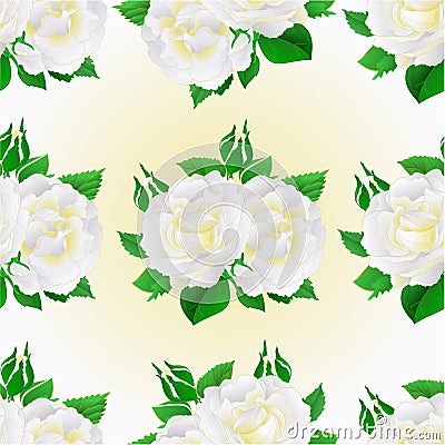 Seamless texture two white roses festive background vintage vector botanical illustration Vector Illustration